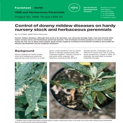 Factsheet 04/04. HDC.